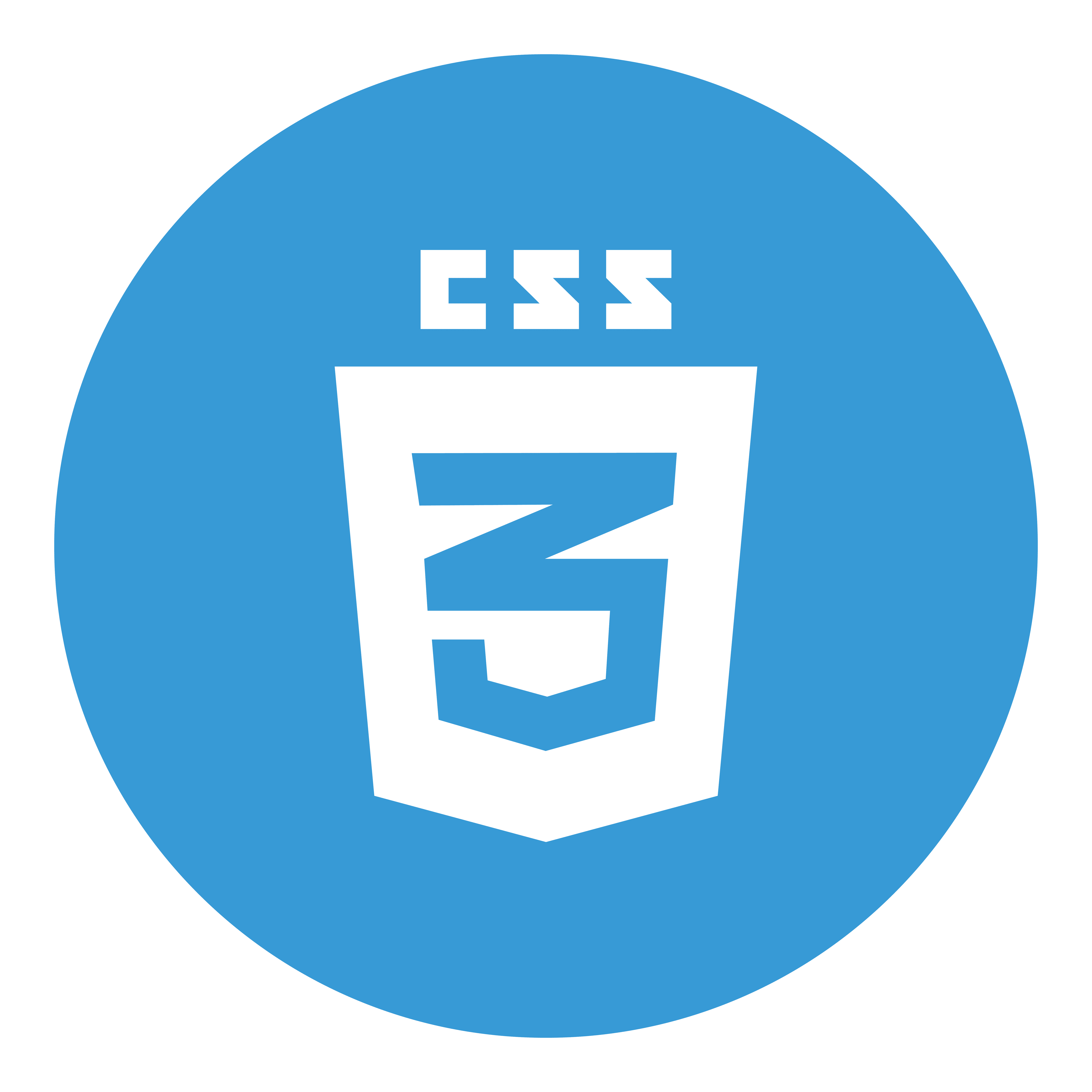 css.logo